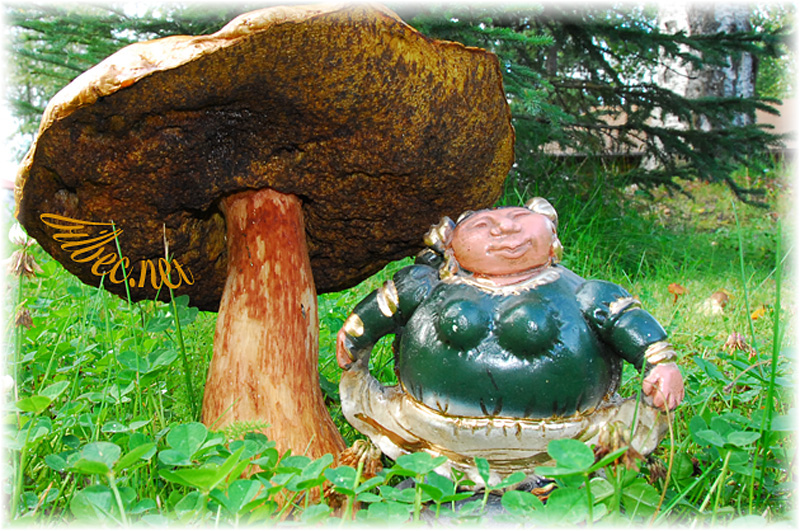 mushroomtroll